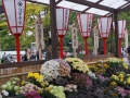 thumb_DSC09966_1024