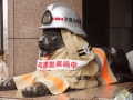 thumb_DSC09787_1024