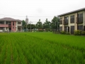 jap-DSC04077