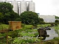 jap-DSC04081