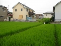 jap-DSC04082