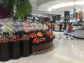 2020bangkok-IMG_5229