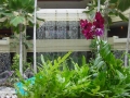 hw-DSC00732