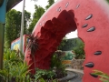 bugs-DSC05401