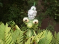 bugs-DSC05405