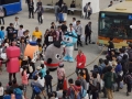 thumb_DSC09753_1024