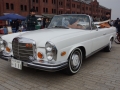 thumb_DSC09694_1024