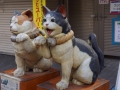 thumb_DSC09874_1024