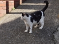 thumb_DSC09876_1024