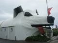nz-DSC08609