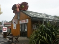 nz-DSC08613
