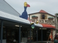 nz-DSC08615
