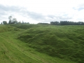 nz-DSC08658