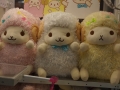 yokthumb_DSC08990_1024