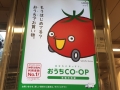 thumb_IMG_5739_1024