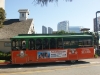 sd7.jpg