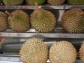 kl-DSC05948