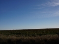 2014usa-DSC04305