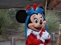 2014-nightDSC05598