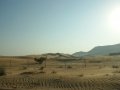 DSC01743
