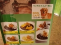 jap-DSC03513