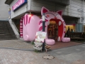 jap-DSC03545