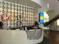 2014goog=IMG_0708