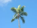 hw-DSC00742