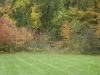 dsc01702.jpg