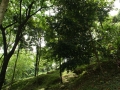 kl-DSC05941