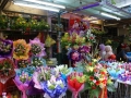 kl-DSC06295