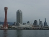 DSC09329.jpg