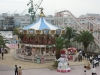 DSC09334.jpg