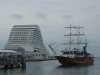 DSC09342.jpg