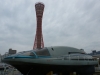 DSC09348.jpg