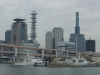 DSC09353.jpg