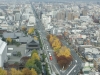 DSC08966.jpg