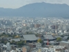 DSC08969.jpg
