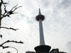 DSC08972.jpg