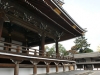 DSC08981.jpg