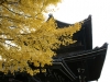 DSC08984.jpg
