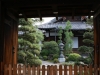 DSC08987.jpg
