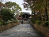 DSC08992.jpg