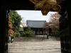 DSC08994.jpg