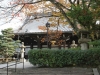 DSC08995.jpg