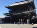 IMG_4374