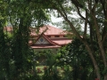 kl-DSC06184