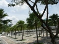kl-DSC06208