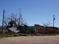 2014usa-DSC04157