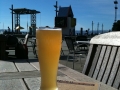 nz-IMG_2129